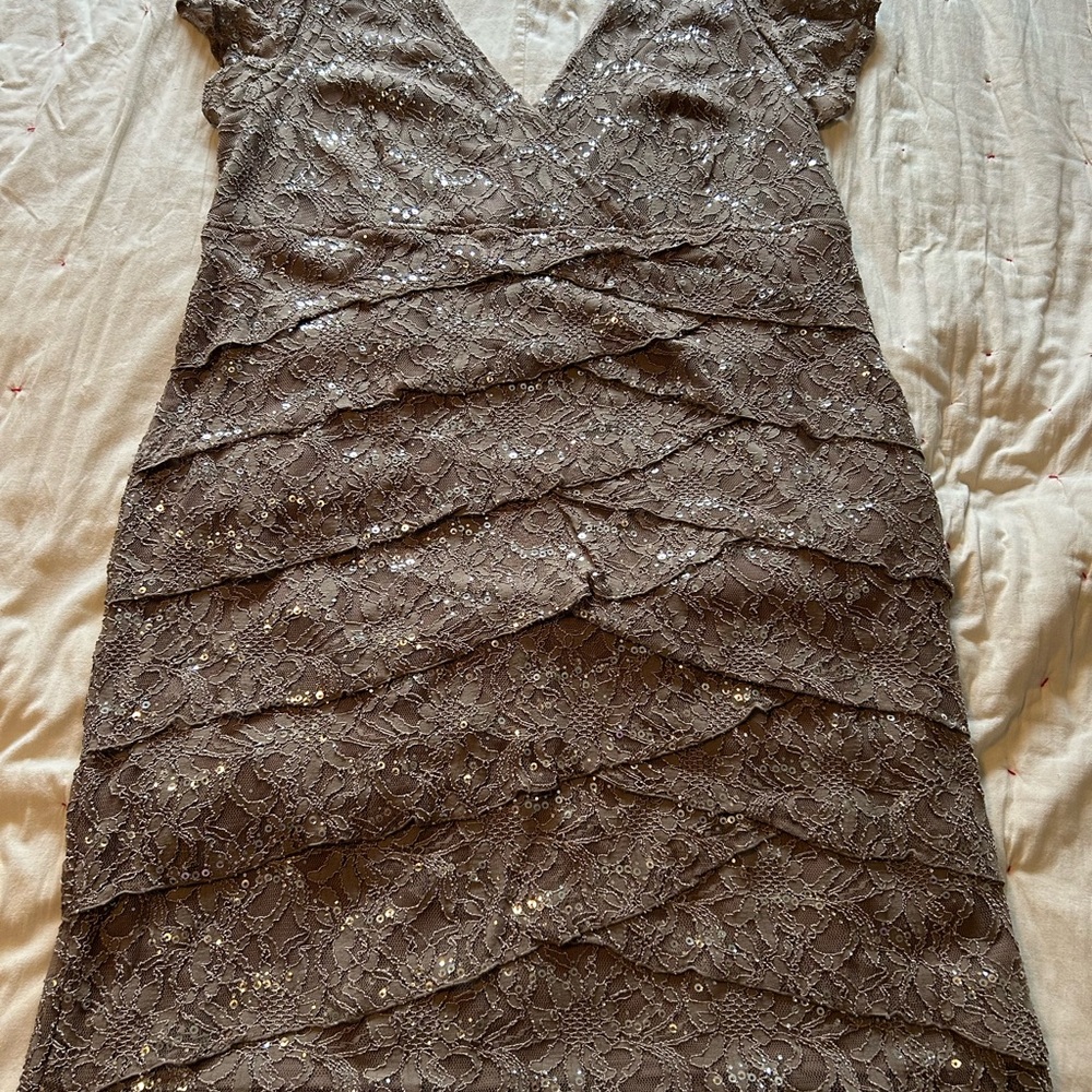 Scarlett Nite Shimmering Beige Lace Midi Dress